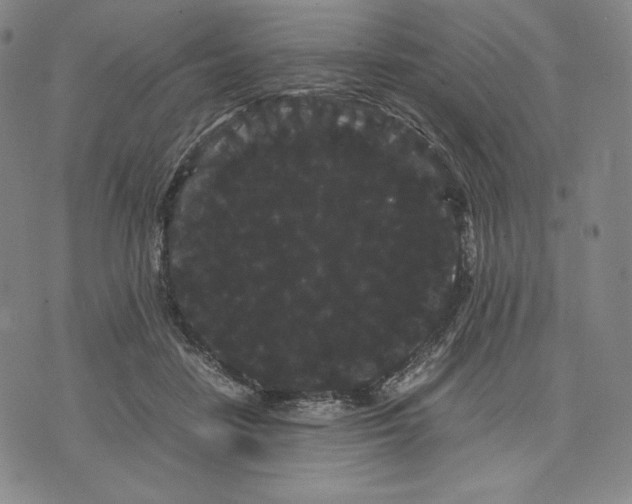 X0000071900458200607281807