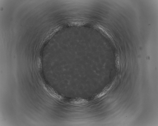 X0000071900459200607281807