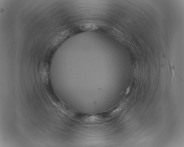 X0000071900460200607281807