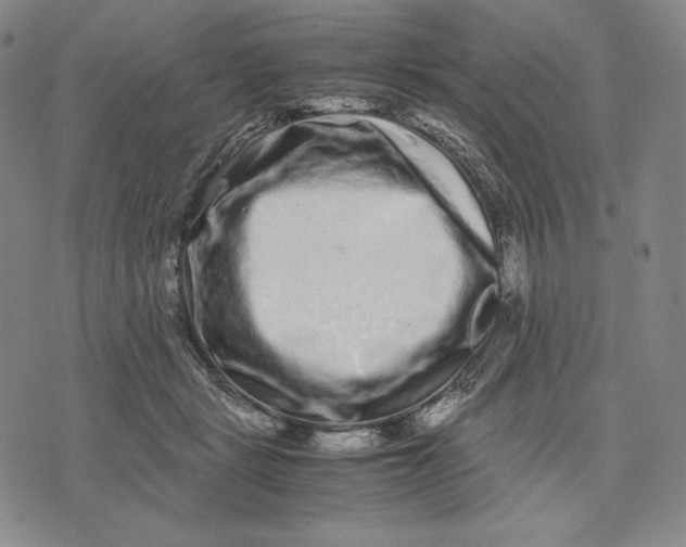 X0000071900461200607281808