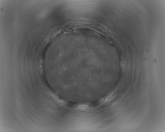 X0000071900462200607281808