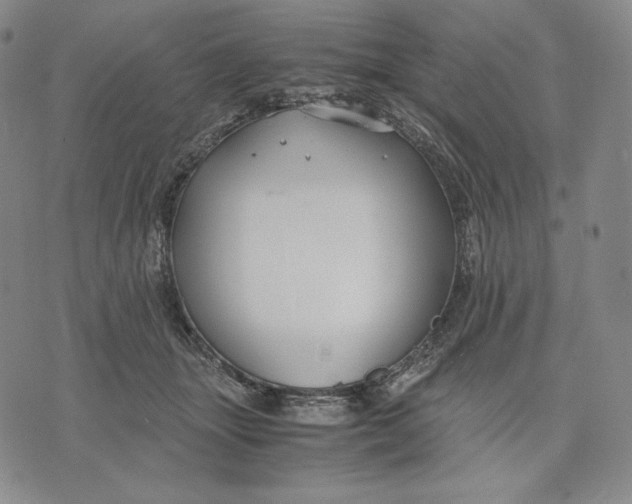 X0000071900463200607281808