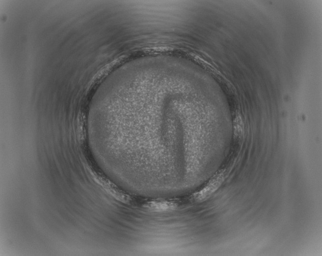 X0000071900464200607281808