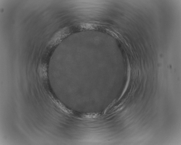 X0000071900466200607281808