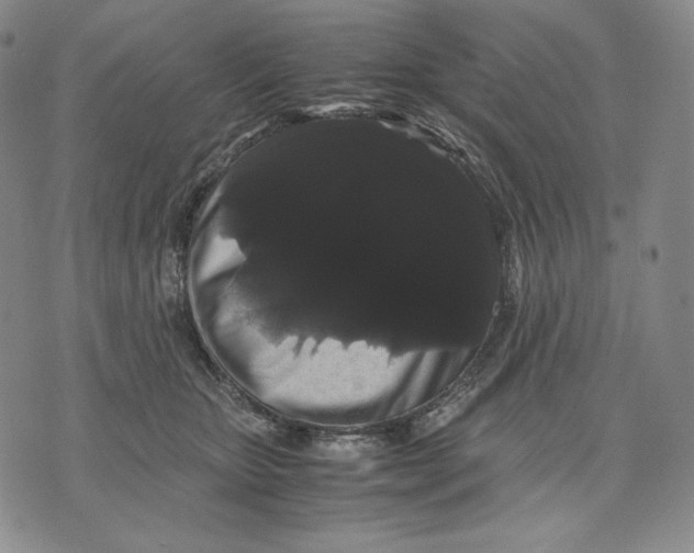 X0000071900467200607281808