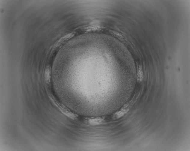 X0000071900468200607281808