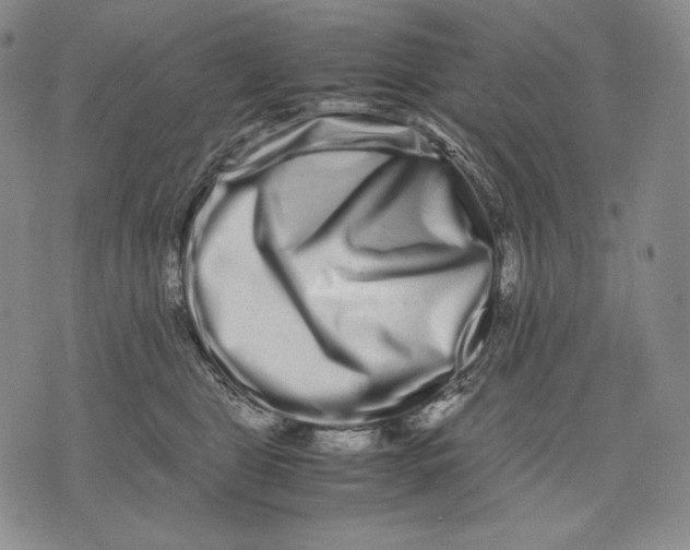 X0000071900469200607281808