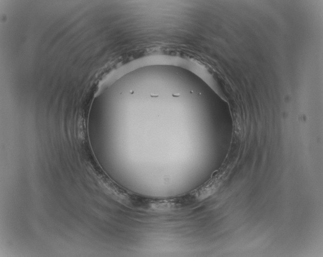 X0000071900470200607281808