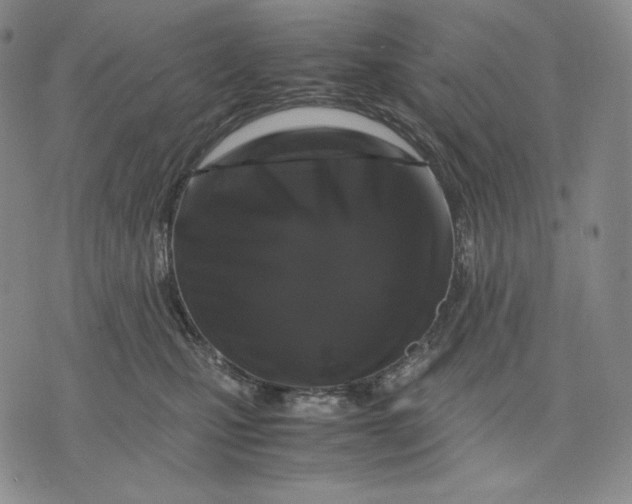 X0000071900471200607281808