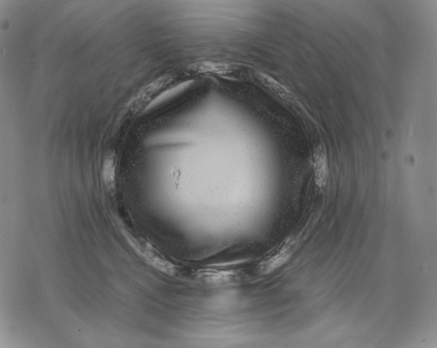 X0000071900472200607281808