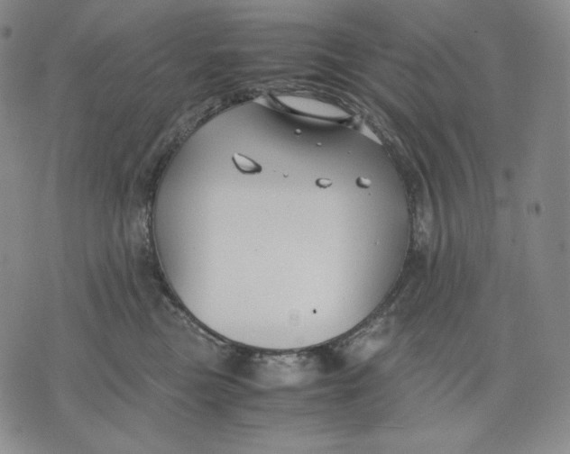 X0000071900473200607281808