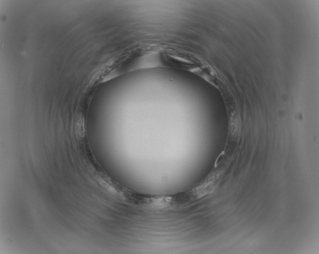 X0000071900474200607281808