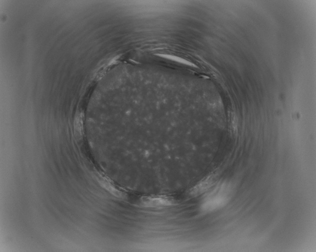 X0000071900475200607281808