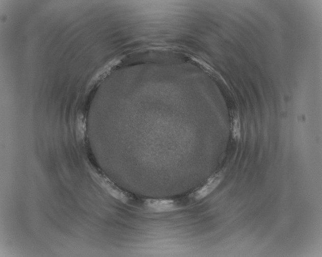 X0000071900476200607281808