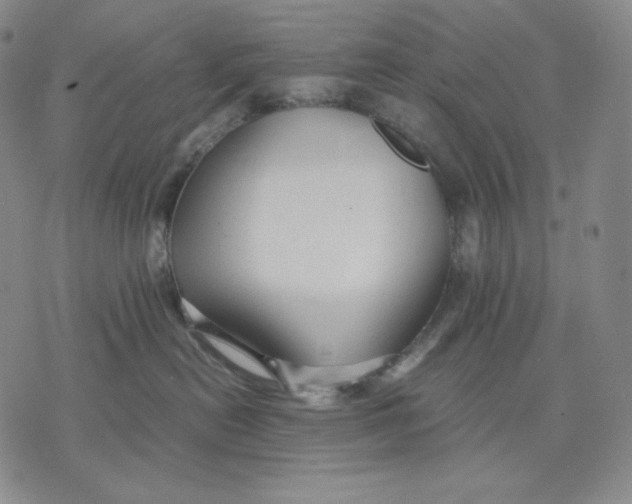 X0000071900478200607281808