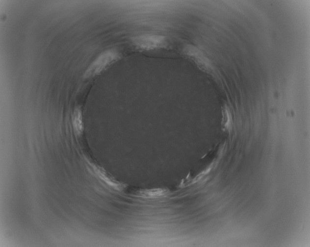 X0000071900479200607281808