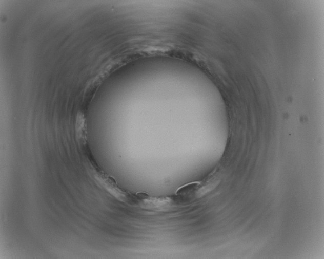 X0000071900480200607281808