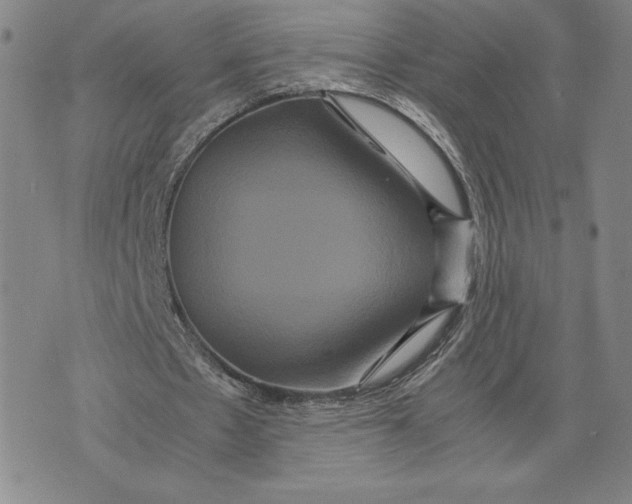 X0000071900481200607281807