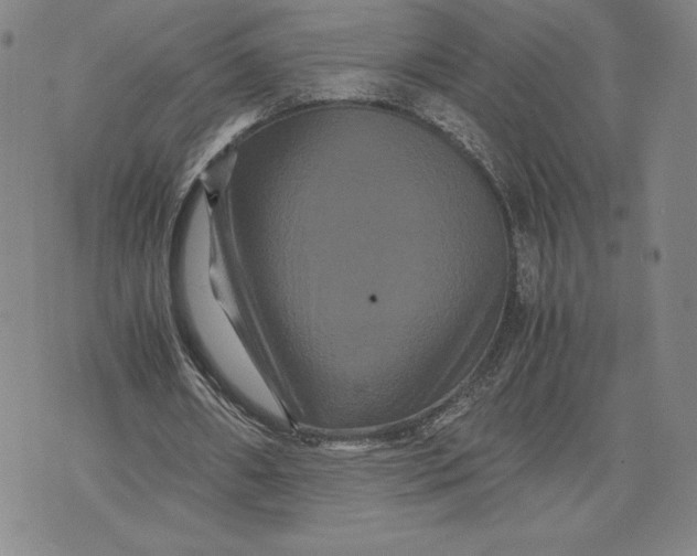 X0000071900482200607281807