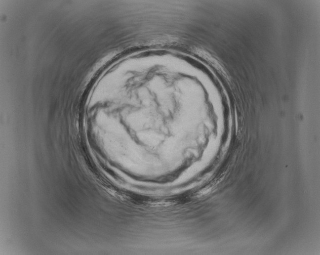 X0000071900483200607281807