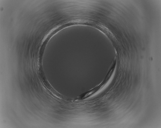 X0000071900484200607281807