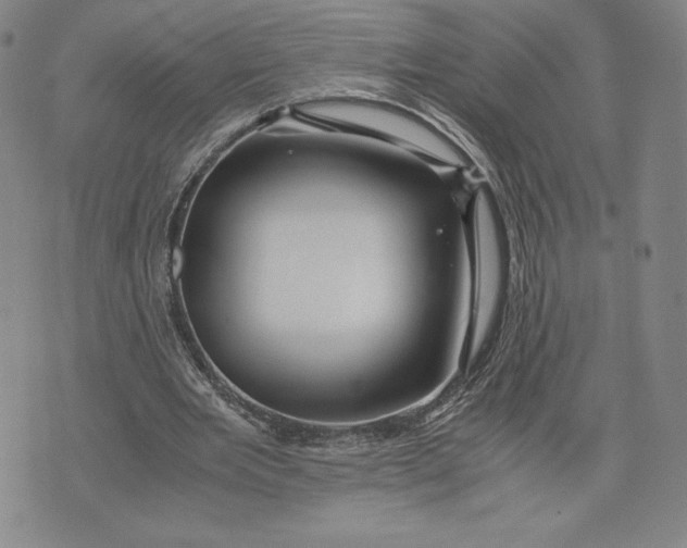 X0000071900485200607281807