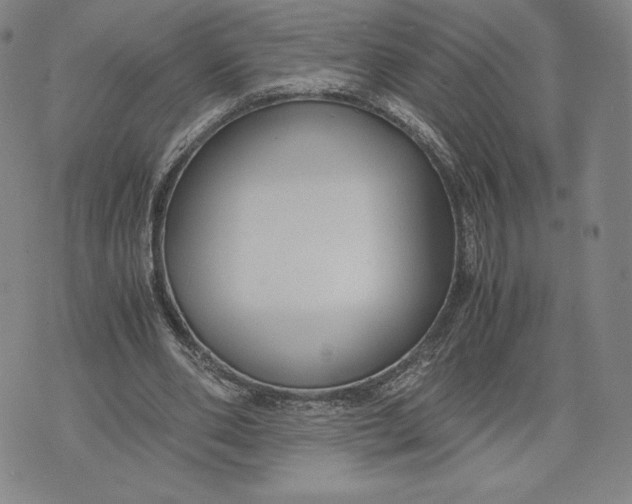 X0000071900486200607281807