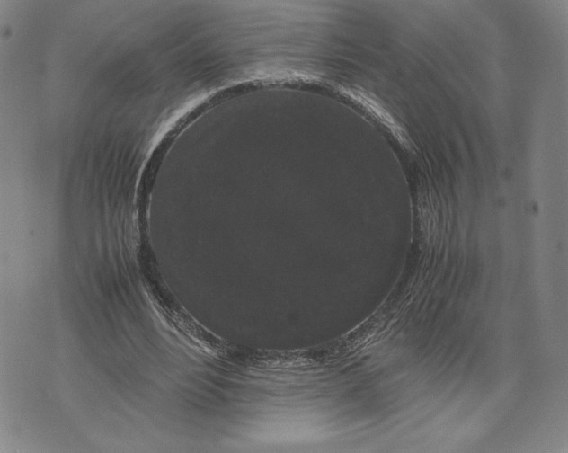 X0000071900488200607281807