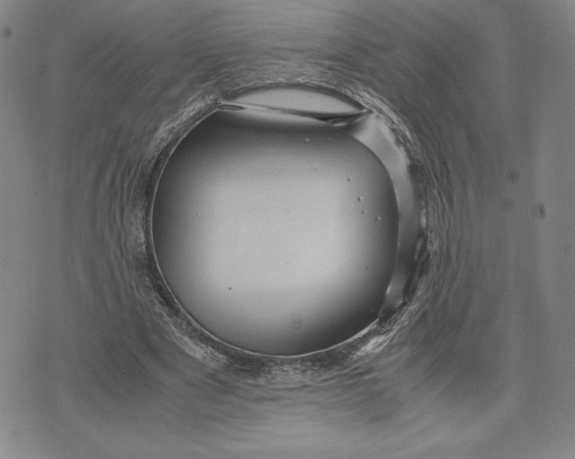 X0000071900489200607281807