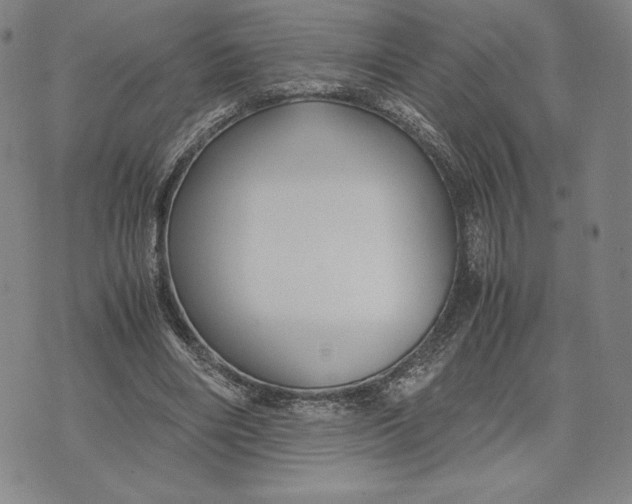 X0000071900490200607281807