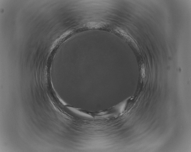 X0000071900492200607281807