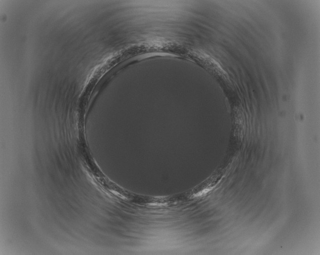 X0000071900496200607281807