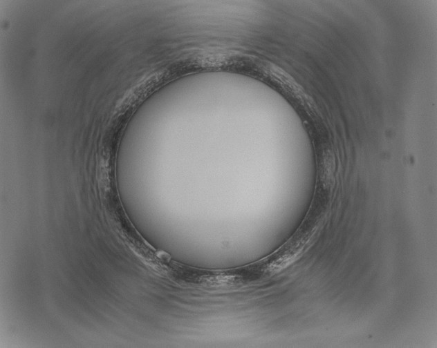 X0000071900497200607281807