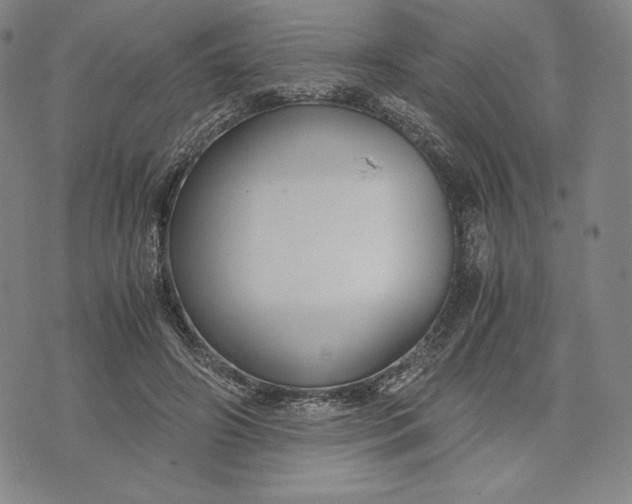 X0000071900498200607281807