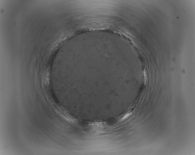 X0000071900499200607281807