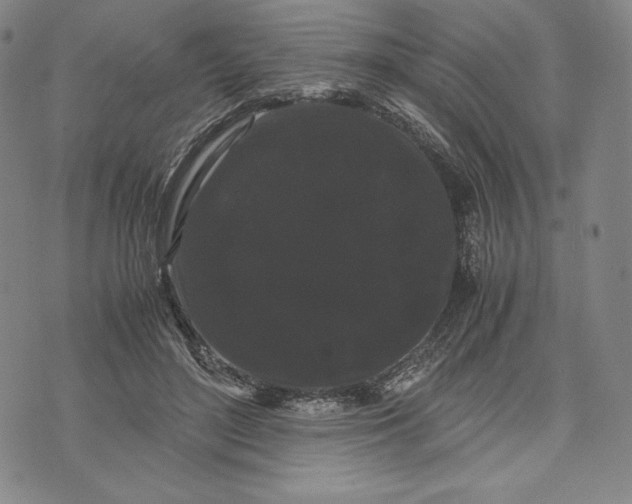 X0000071900500200607281807