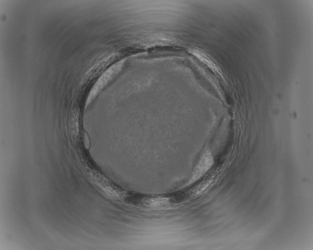 X0000071900501200607281807