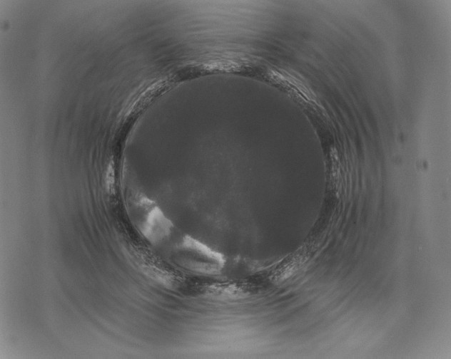 X0000071900502200607281807