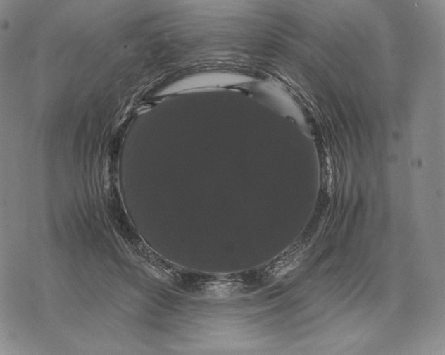 X0000071900504200607281807