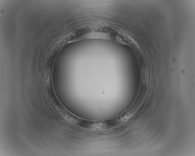 X0000071900505200607281807