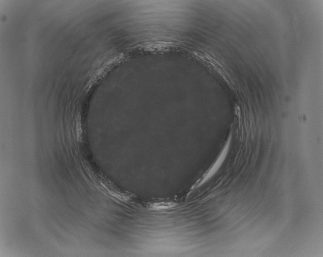 X0000071900508200607281807