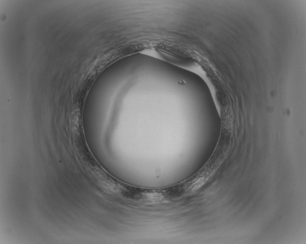 X0000071900509200607281807