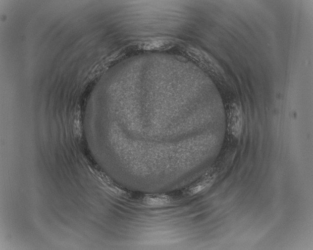 X0000071900510200607281807