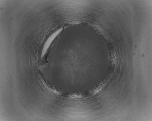 X0000071900512200607281807