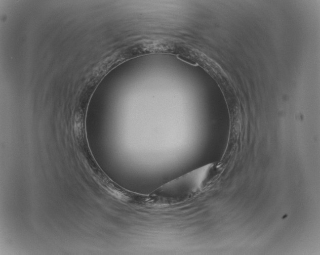 X0000071900513200607281807