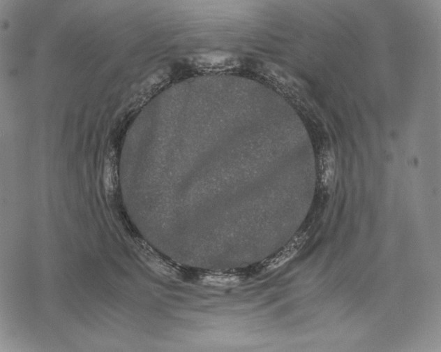 X0000071900515200607281806