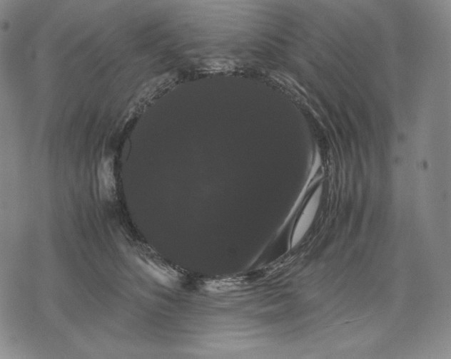 X0000071900516200607281806