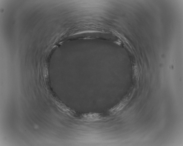 X0000071900517200607281806