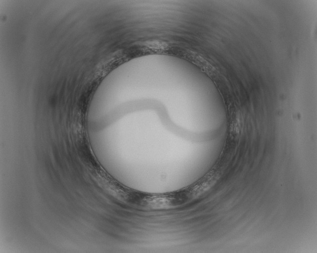 X0000071900518200607281806