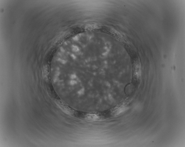 X0000071900519200607281806